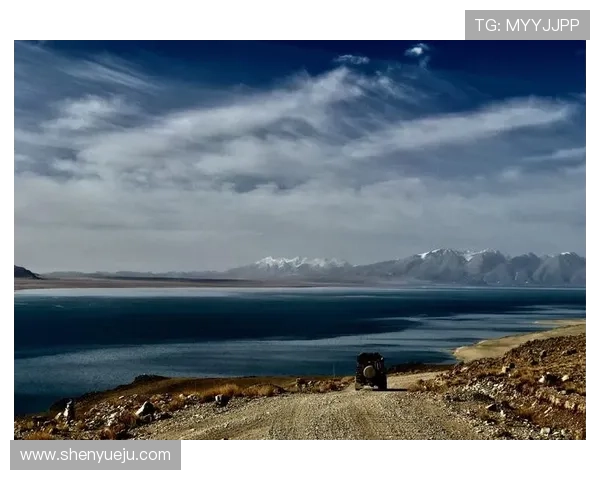 开云平台开户成功秘诀分享提升你的注册成功率和账户安全保障