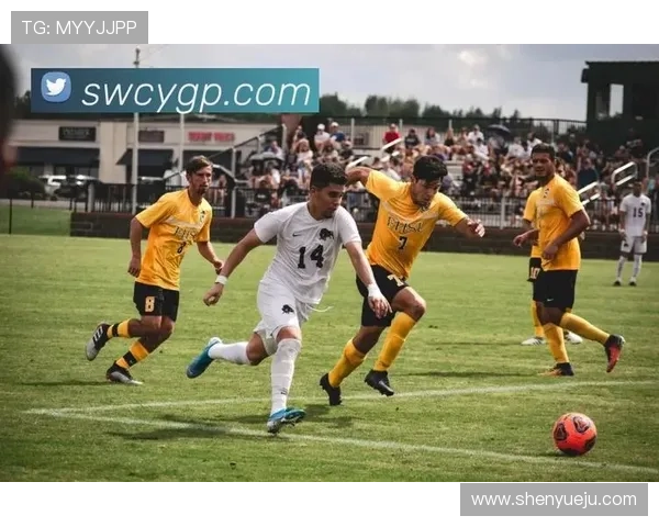 开云体育网址大全提供多平台多终端的体育直播服务,满足不同设备用户的需求